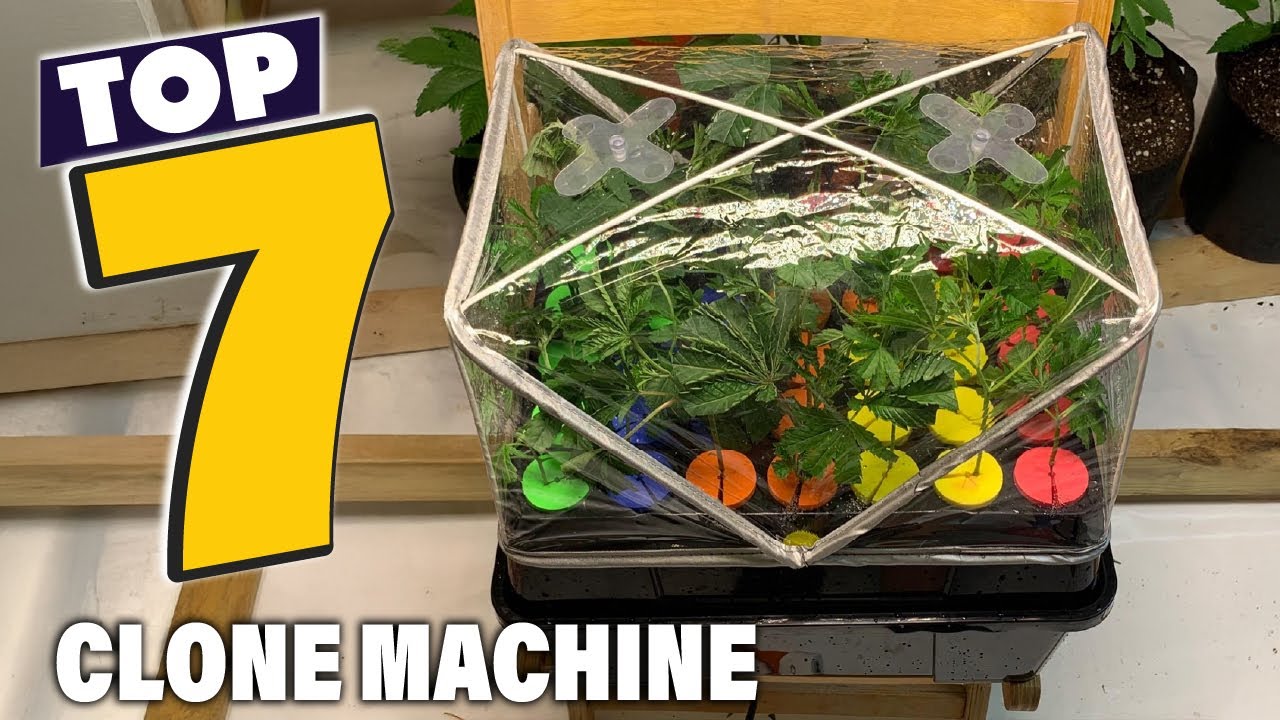 Top 7 Cloning Systems to Speed Up Your Growing Process