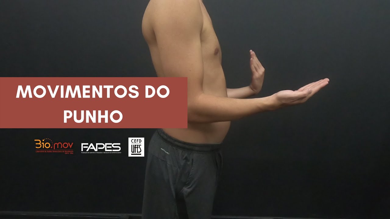 Movimentos do Punho