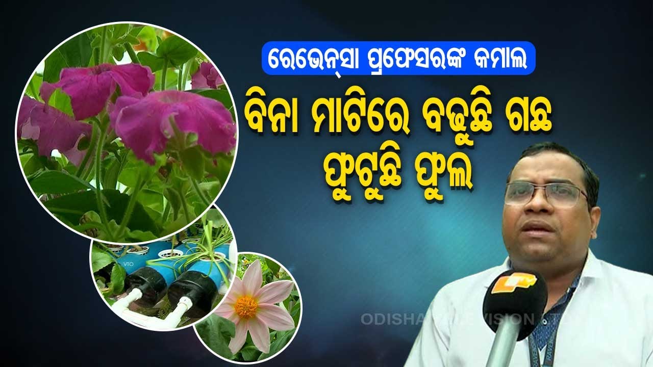 Special Story | Farming without soil at botany dept of Ravenshaw University