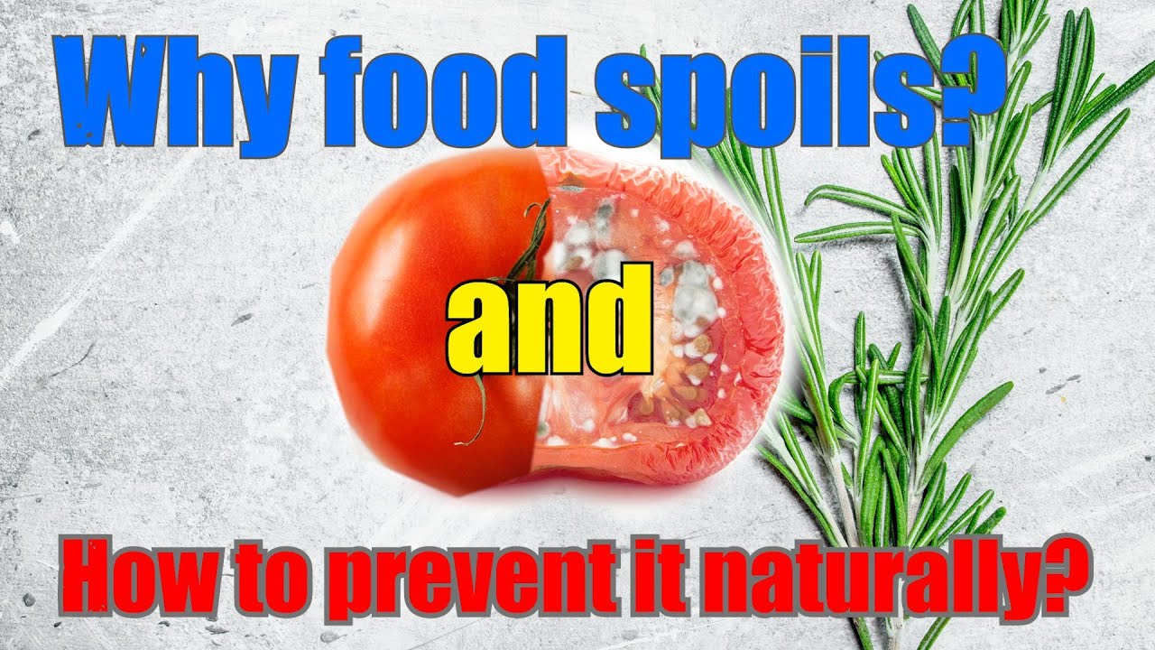 Tips To Make Food Last Longer - Natural Food Preservative