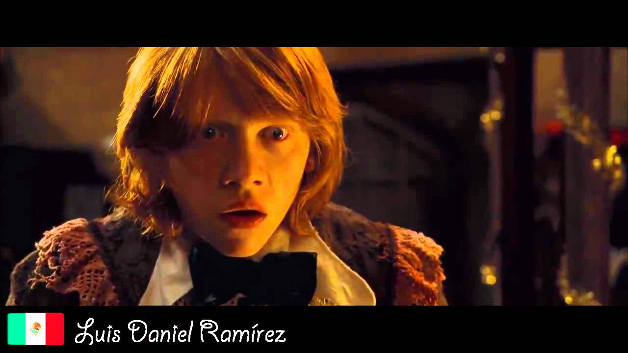 The Goblet of Fire - Ron Multilanguage