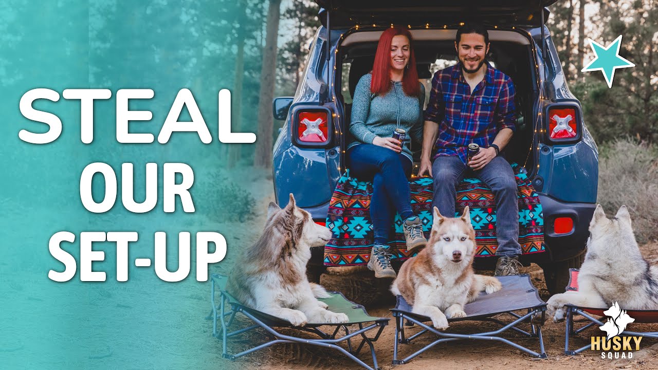 The ULTIMATE Car Setup For Dogs | HUSKY SQUAD