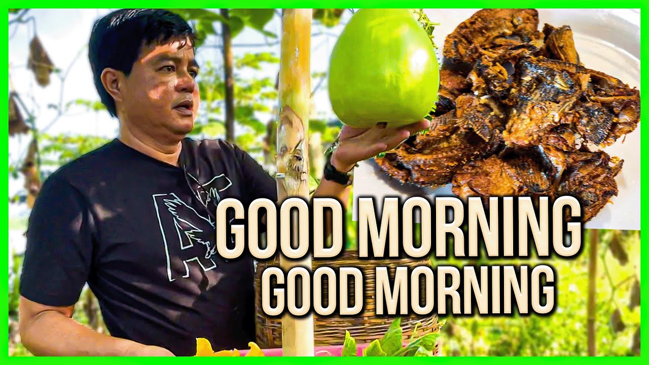 MORNING WITH IDOL TIKTOK | Romeo Catacutan - Idol Tiktok