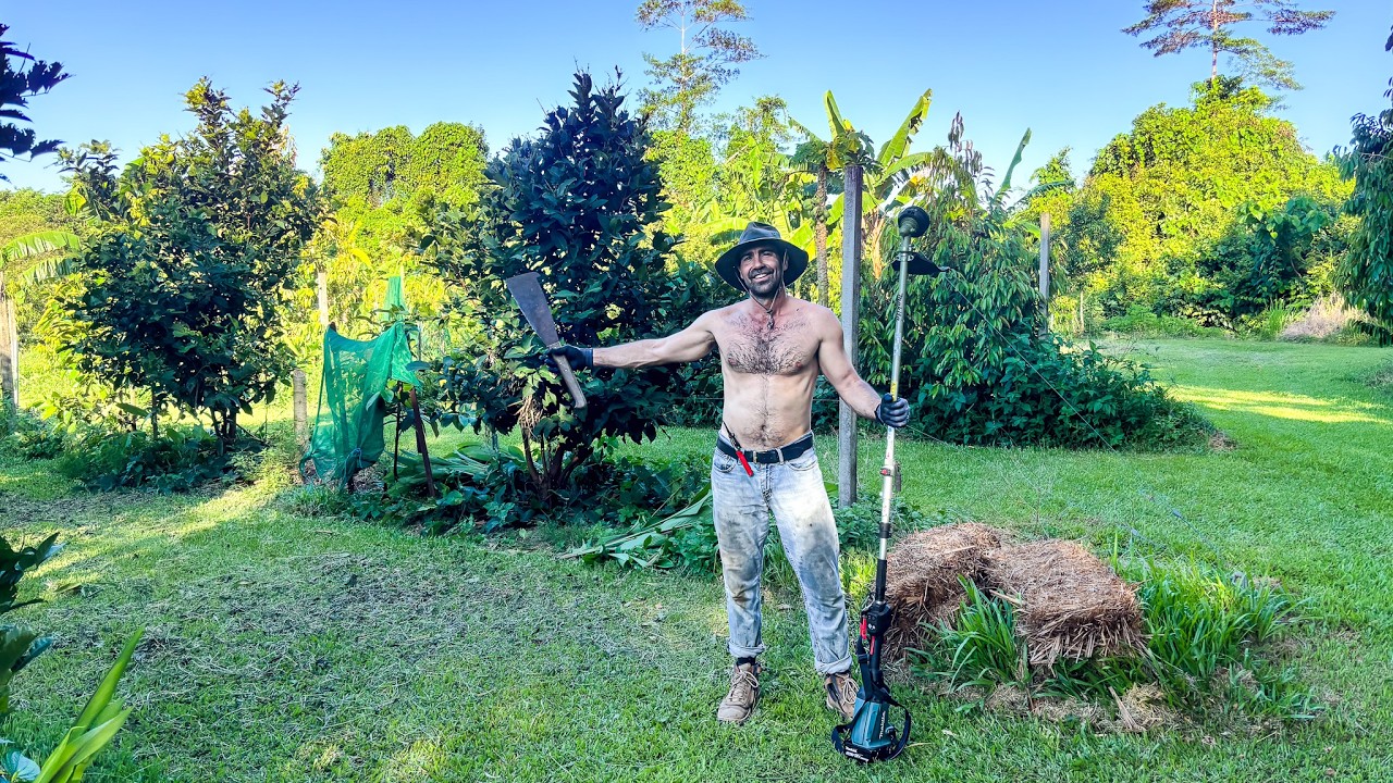 The Journey to Growing our Own Food (5 years Later)