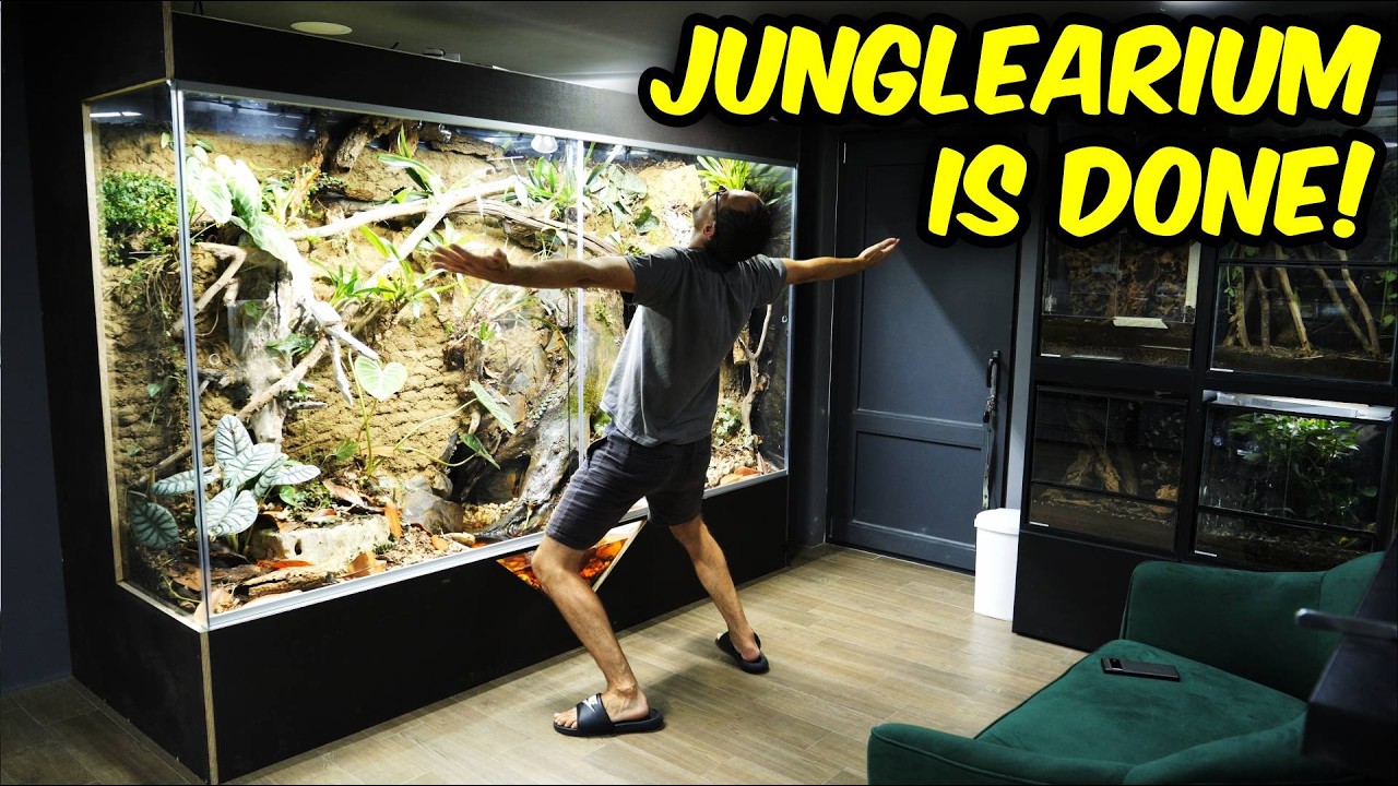 IT IS OVER! - Junglearium 2.0 COMPLETED!