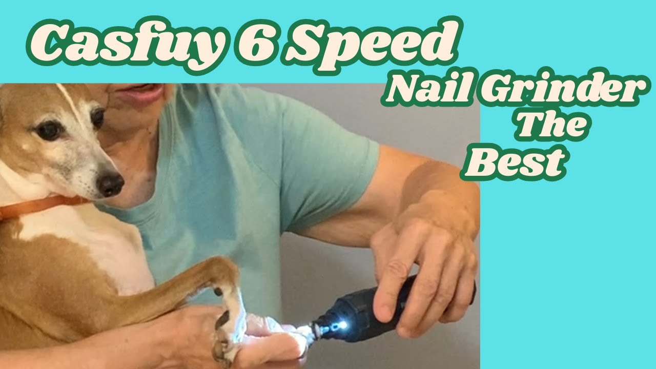 The Best Dog Nail Grinder - The Casfuy 6- Speed is #1
