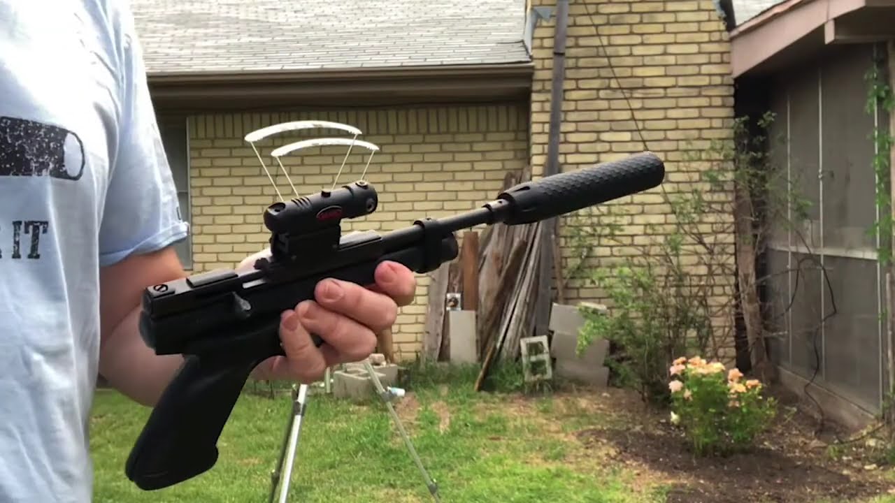 Full solar eclipse:  "I know, a great time to shoot my Crosman 2240 using a laser sight"