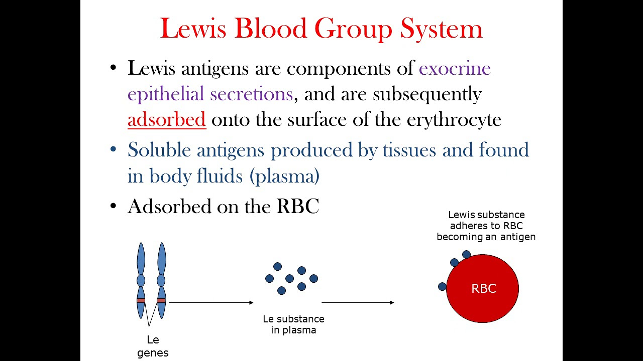 Lecture 5: Lewis, I, P & Luthran Blood Group Systems .. Part I