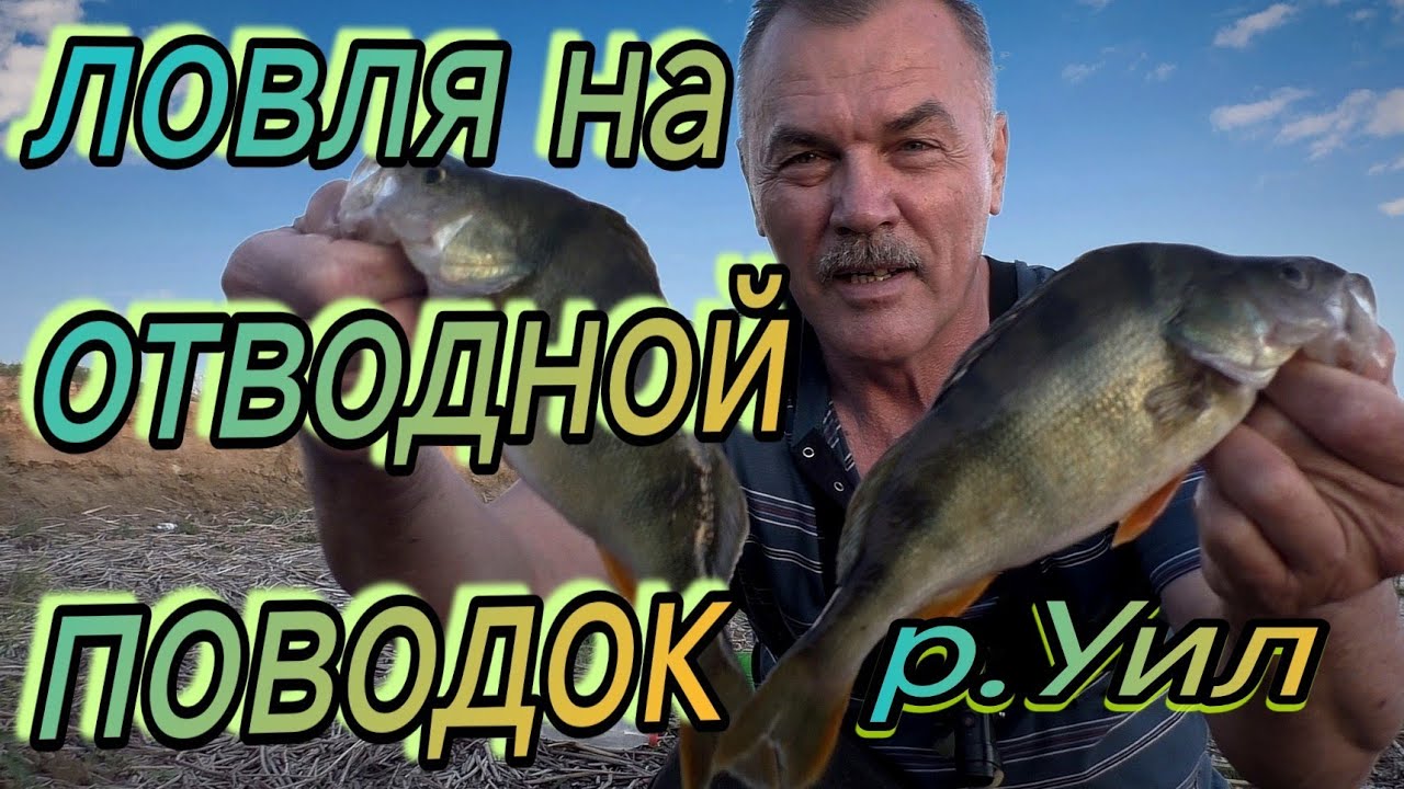 БЕШЕНЫЙ КЛЁВ, силикон в хлам ОКУНЬ ЯЗЬ на отводной поводок, рыбалка  на р УИЛ Актюбинская обл 2025г.