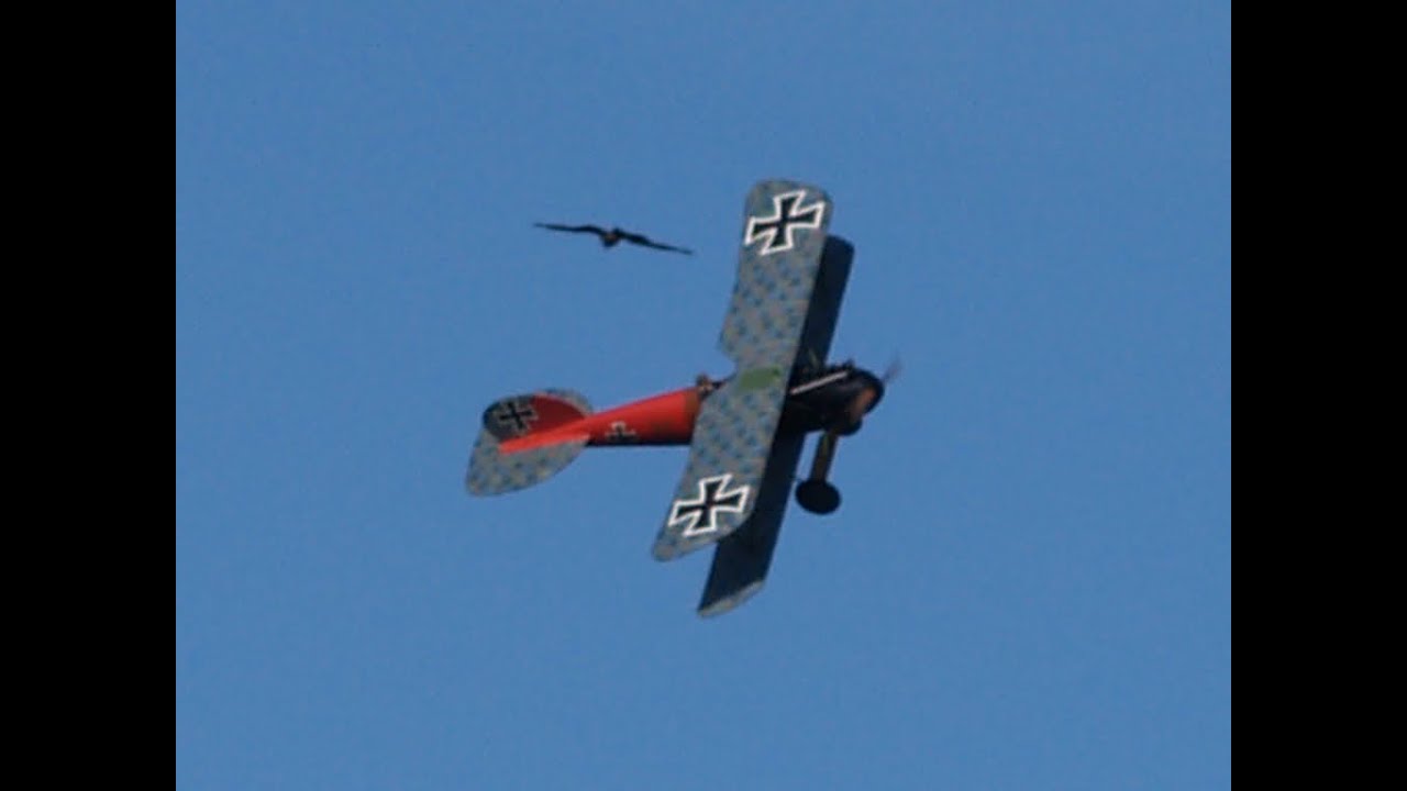 Albatros DVa  Bad Langensalza