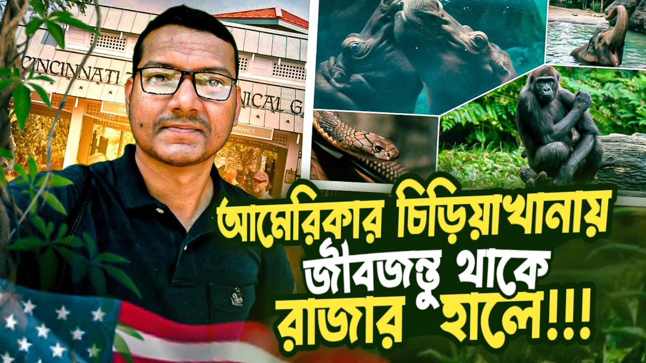 আমেরিকার চিড়িয়াখানা চমৎকার সব জীবজন্তুতে ভরপুর | Cincinnati Zoo Tour as International Student
