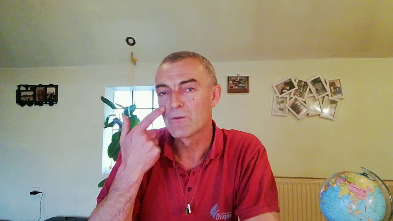 Engleski jezik PRISVOJNE ZAMENICE Possessive pronouns