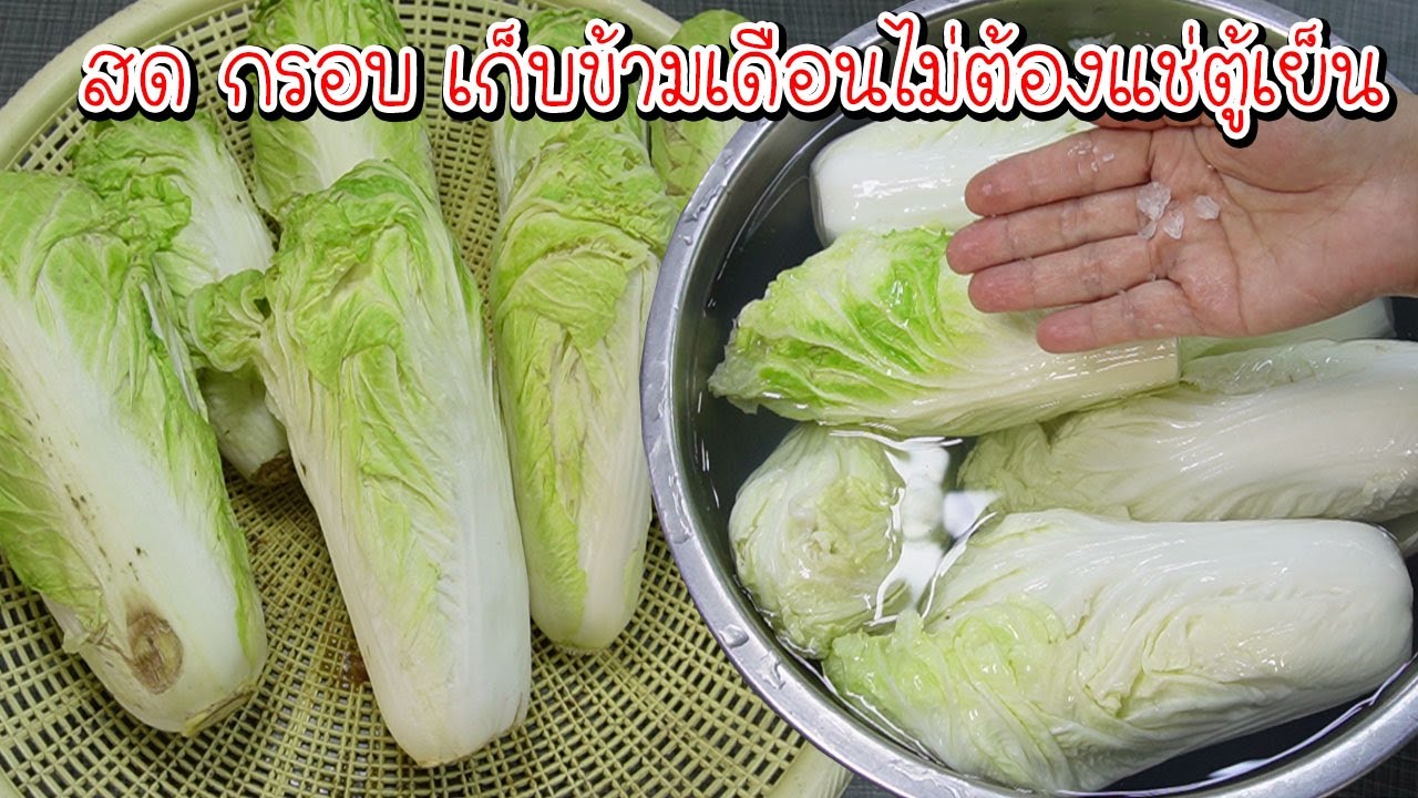 วิธีเก็บผักกาดขาว ไม่ต้องแช่เย็น เก็บได้ข้ามเดือน คืนชีพให้ สด กรอบ เหมือนเก็บใหม่จากต้น