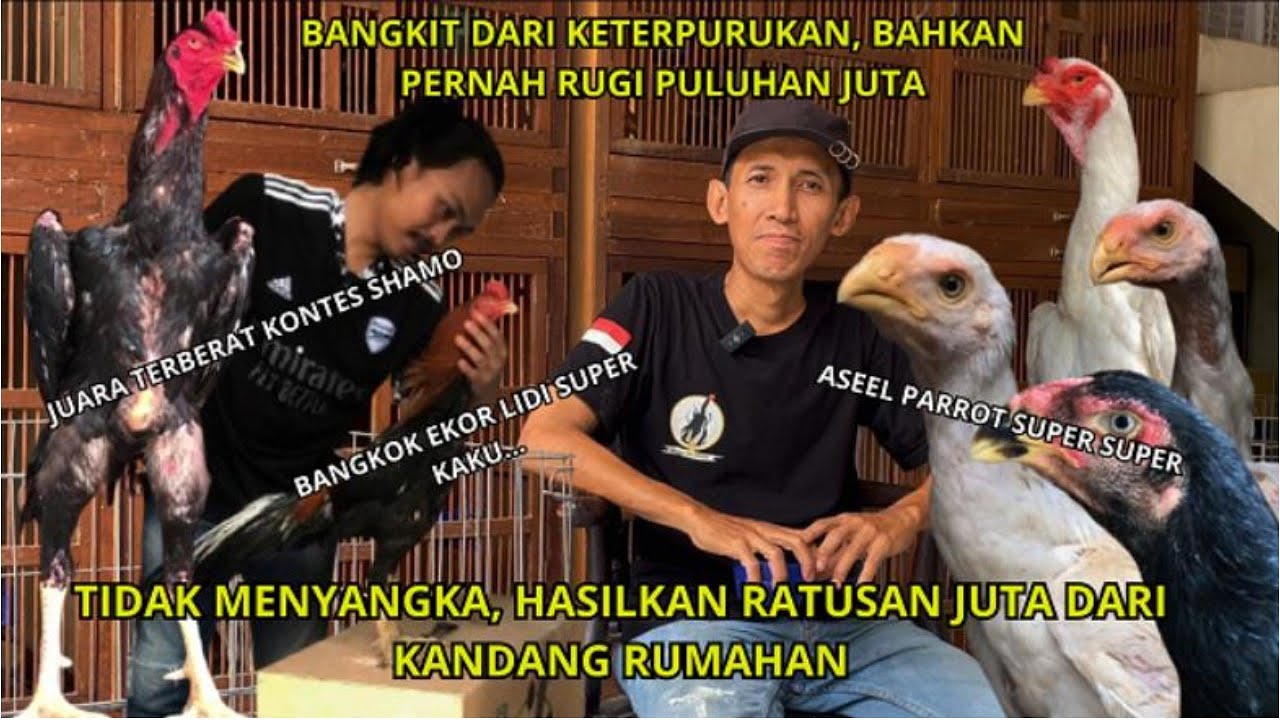 Hasilkan ratusan juta dari ternak rumahan?! Bisa bangkit dari keterpurukan! Episode Surabaya!!