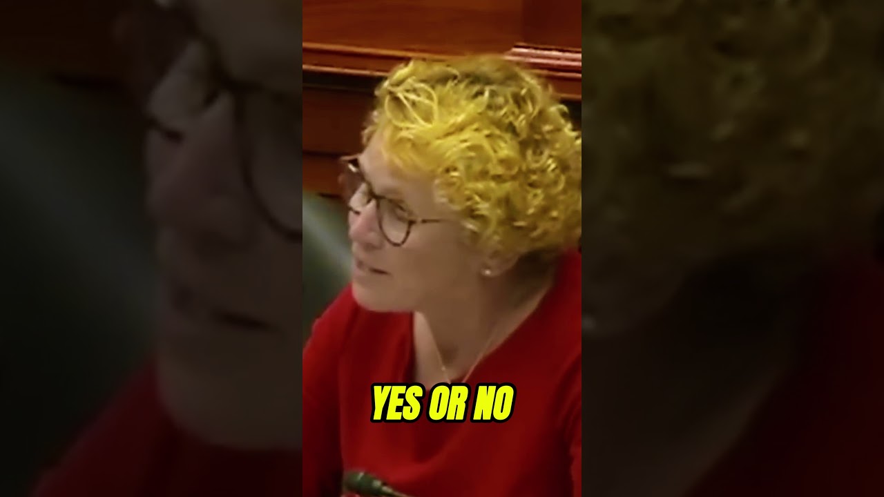 SHOCK MOMENT: Houlahan Forces Hegseth Into a Heated &ldquo;Yes or No&rdquo; Clash #shorts  #viral  #news