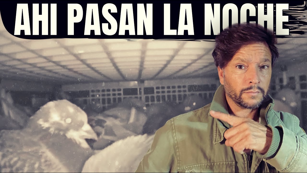 ⚠️ PAN para hoy&hellip; hambre para MA&Ntilde;ANA