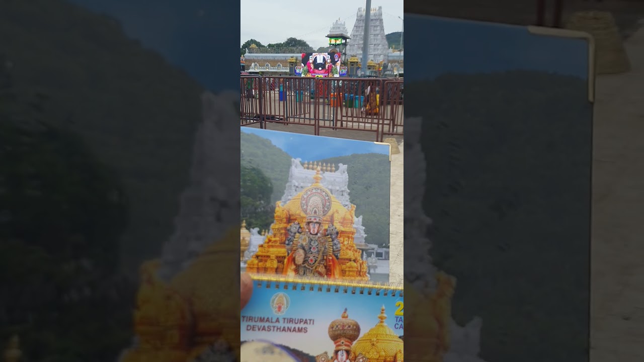 buying world famous ttd dairy and calender at tirumala 🙏🙏 #ttdcalenderdairy2026 #shorts #ttd #shorts