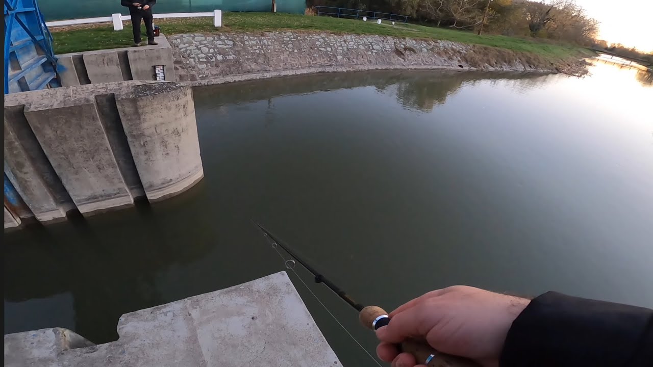 Pergetés a dömsödi zsilipnél / Fishing at the sluice