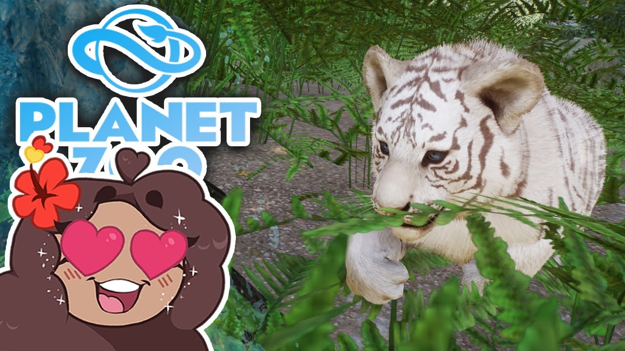 Searching for Siberian Tiger CUBS!! 🐏 Planet Zoo: Ice Ice Outpost • #47