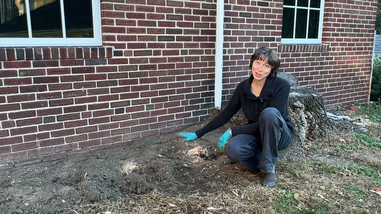 Extreme Gardening or How to Create a Flower Bed