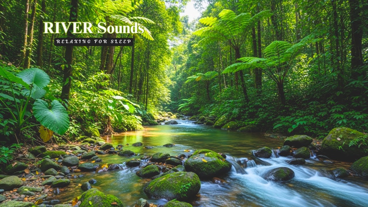 Serene River Water Sounds for Meditation and Deep Sleep