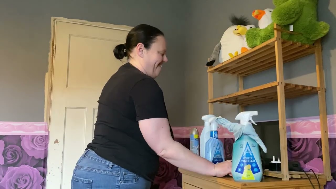 Post Christmas full house clean 