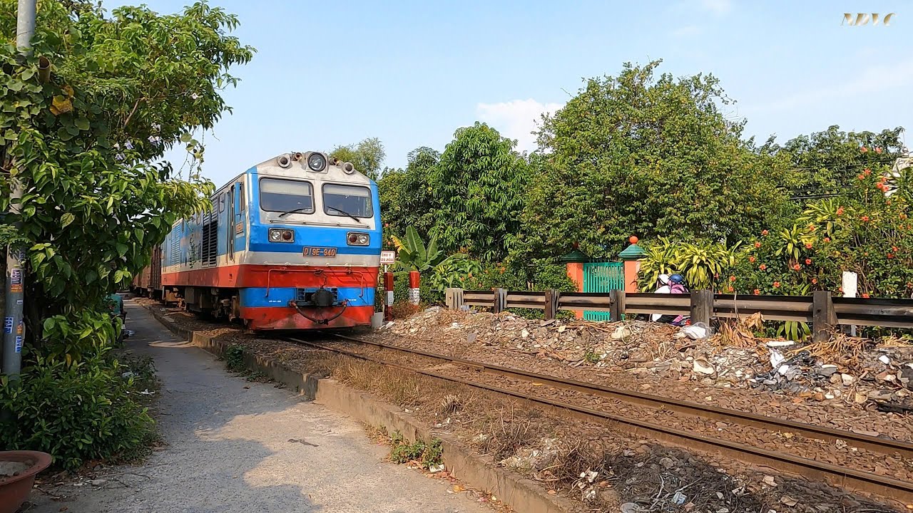 ✅ XEM TÀU HÀNG VÀ TÀU KHÁCH ĐI TRÊN CUNG ĐƯỜNG BIÊN HÒA (16/3/2025) #train