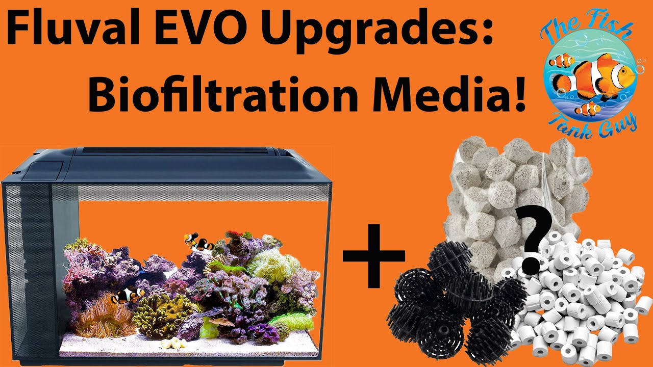 Fluval EVO 13.5g/52l Upgrades - Biofiltration Media!