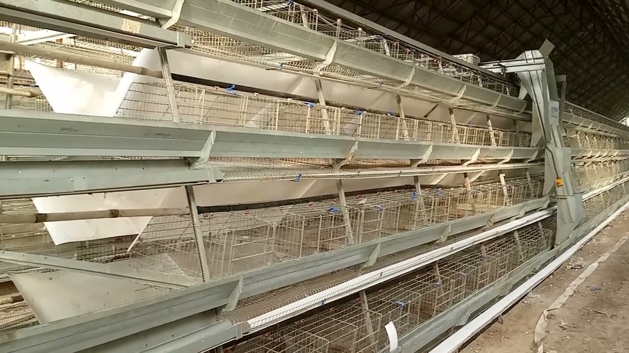 how to install automatic cage without stress