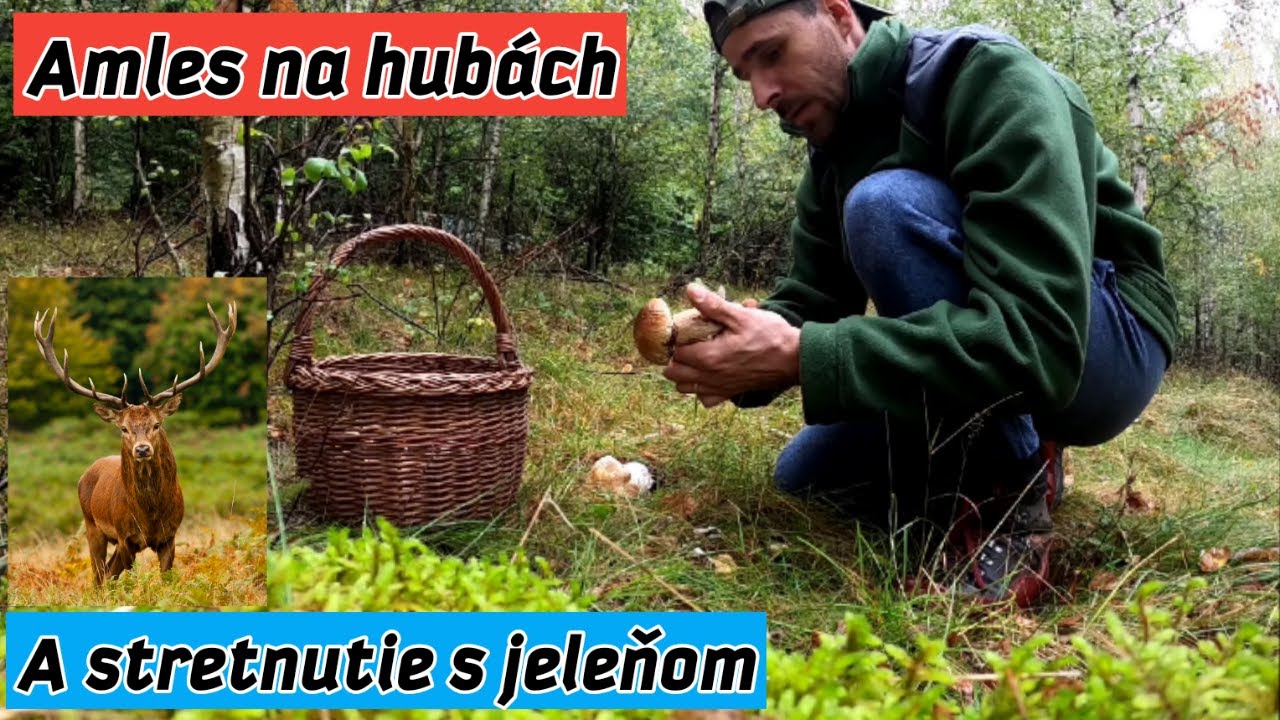Ako som sa vybral na huby a narazil na jeleňa s jelenicou, Lada Niva 4x4, Amles