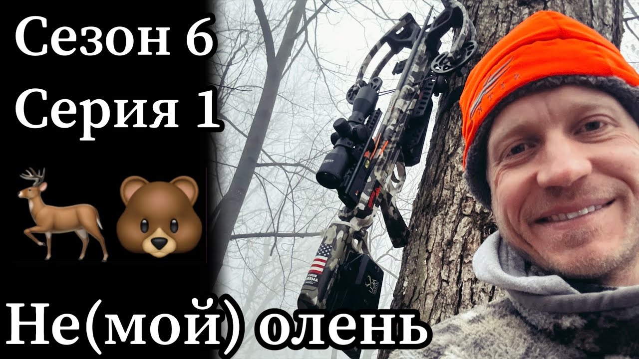 Охота на оленя и медведя в США