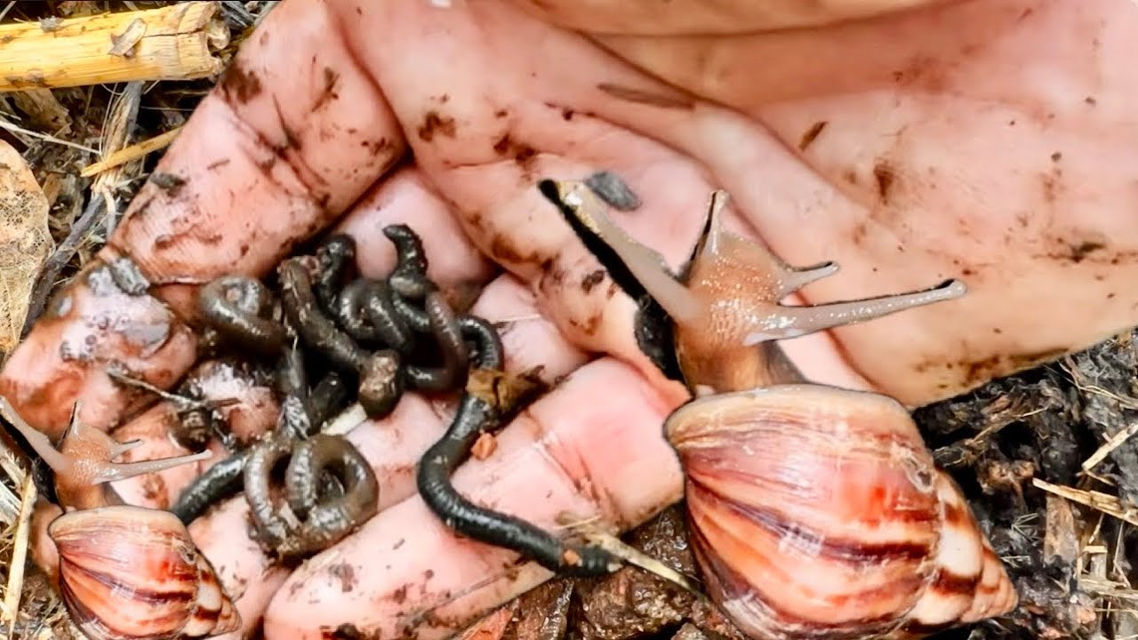 You Won’t Believe What’s Hiding in the Dirt!