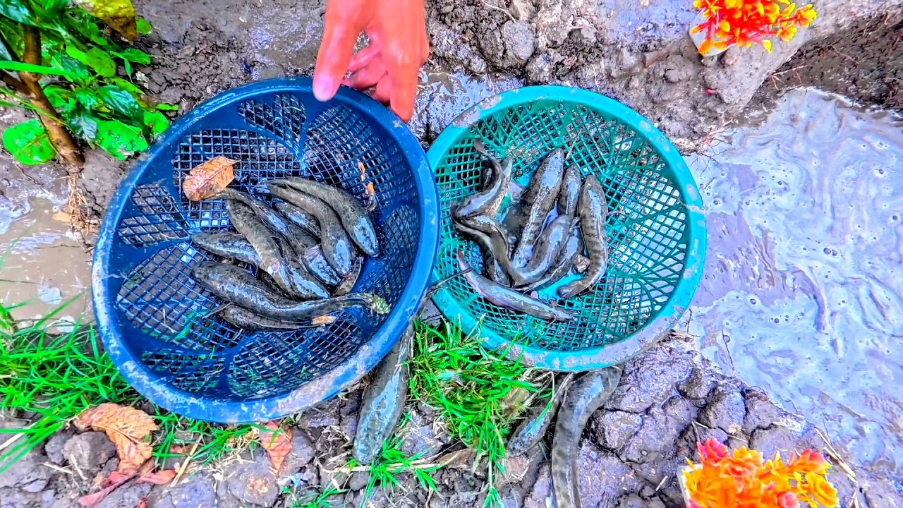 It was great fun catching a lot of fish with bare hands from a pond 🐠