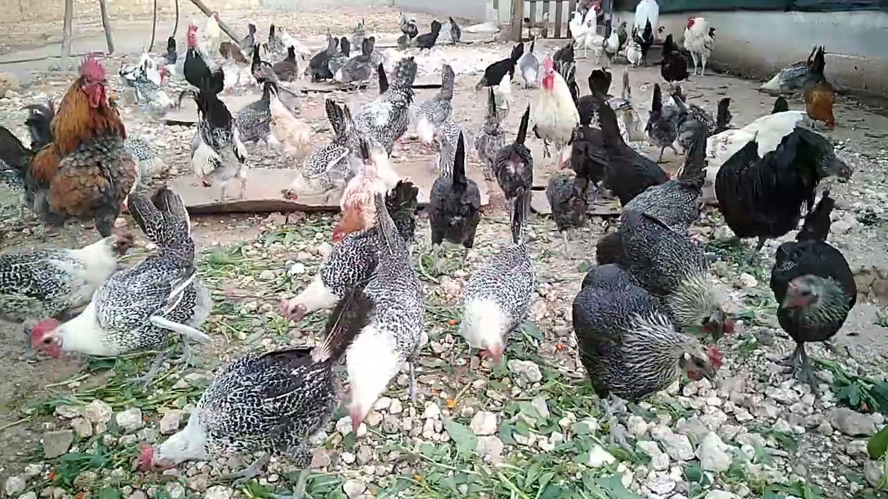 اسباب فشل او نجاح المشروع.. تابع للنهاية للاستفادة 🙄