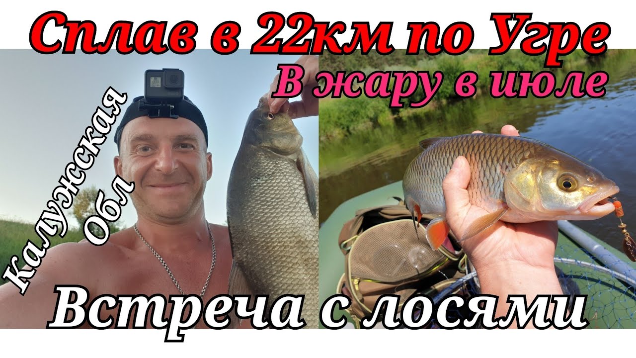 Сплав 22 км по Угре в Калужской области! рыбалка на хищника в июле в жару