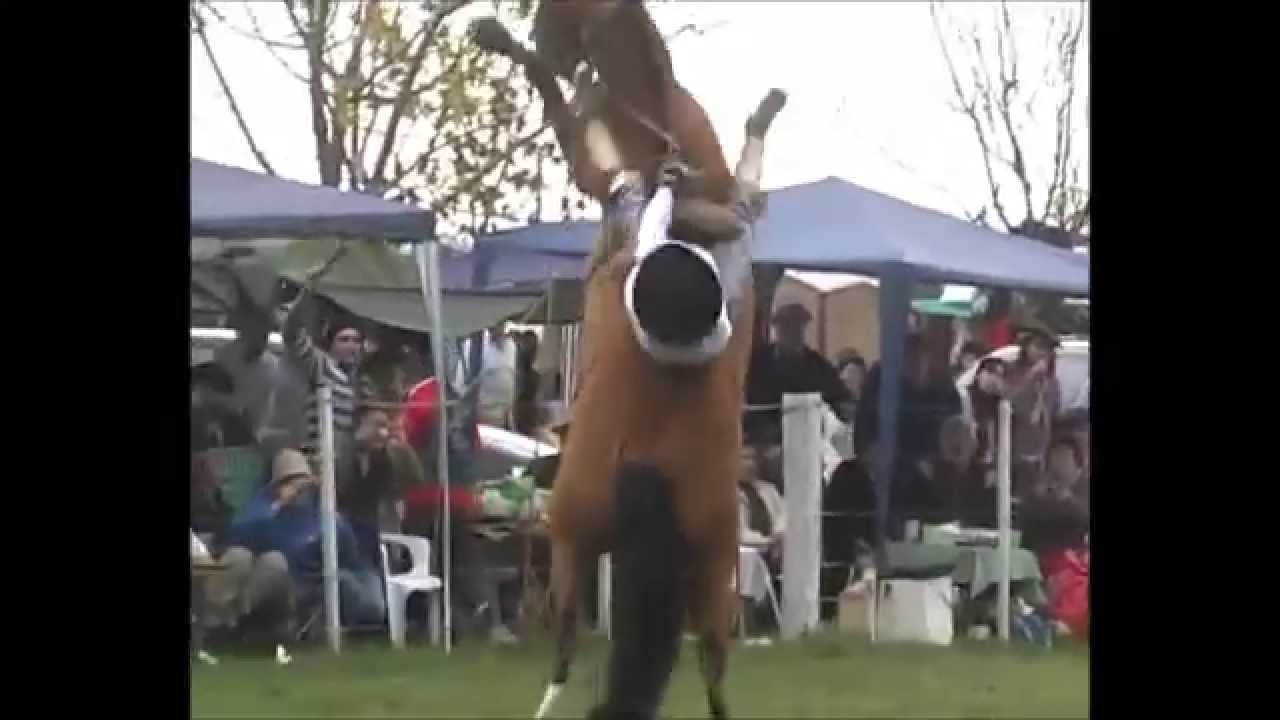 Ramón Córdoba - Jineteada 2014 - Parte 6