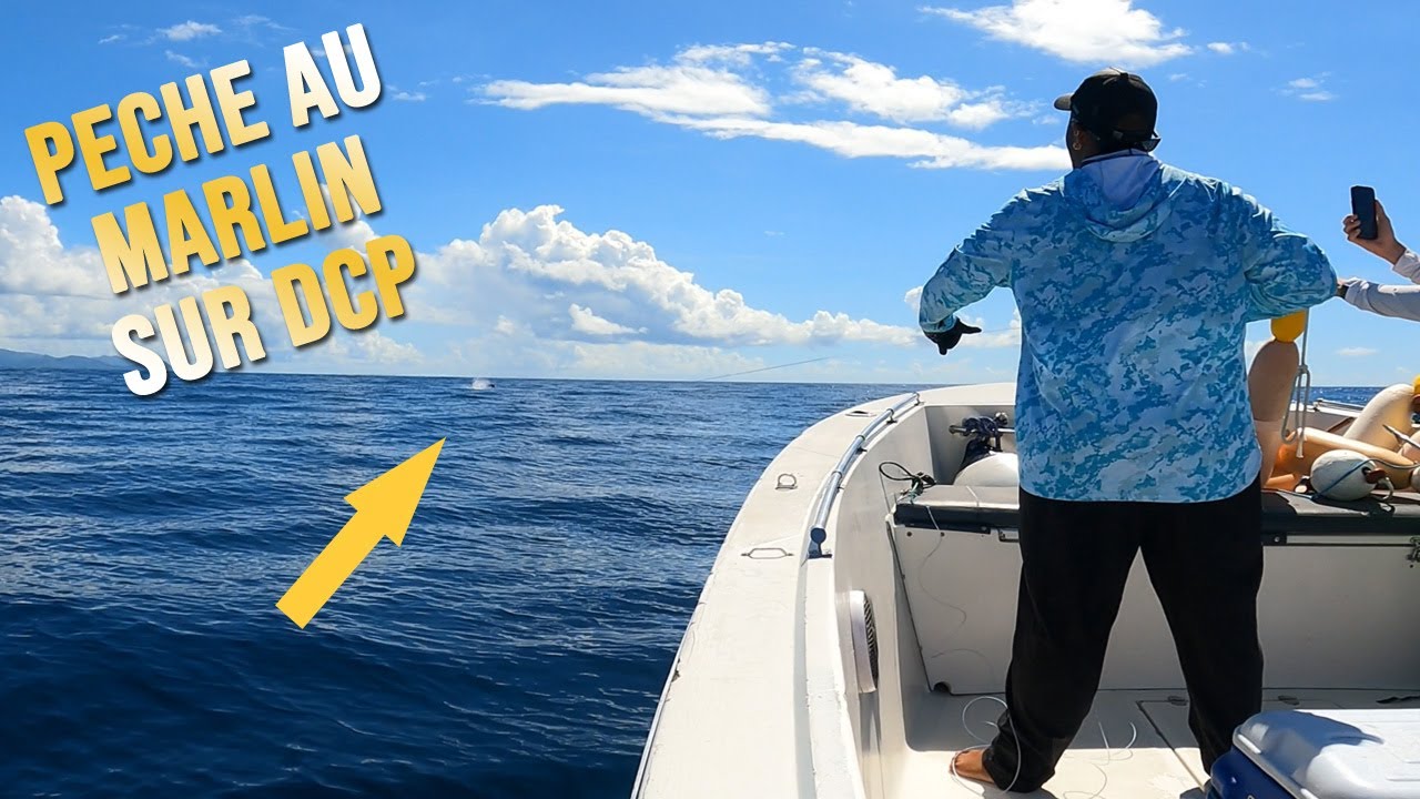 PÊCHE AU GROS sur DCP – Marlin Bleu en Martinique (Sortie Épique)