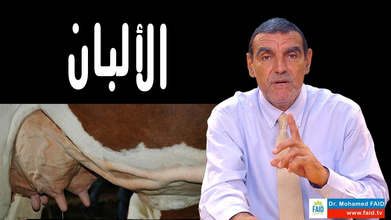 الألبان | الدكتور محمد فائد