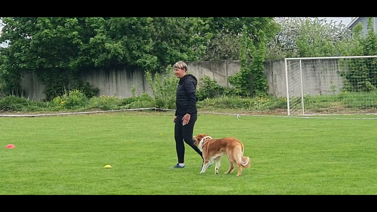 Феникс ЧРКФ 4 место