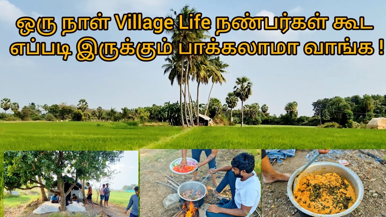 ✨Village Life 💞Forever natural 💚எப்படி இருக்குன்னு பாருங்க 
