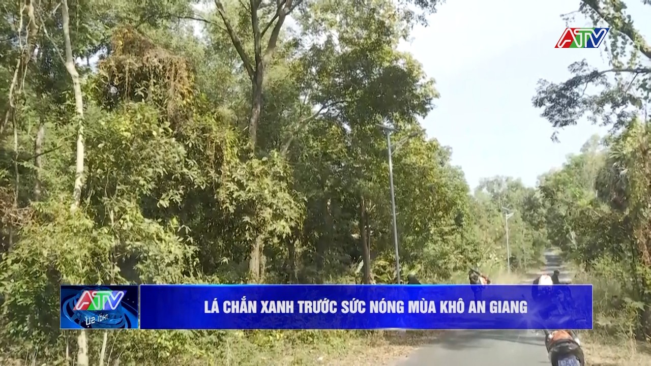 Lá chắn xanh trước sức nóng mùa khô An Giang | An Giang 24h