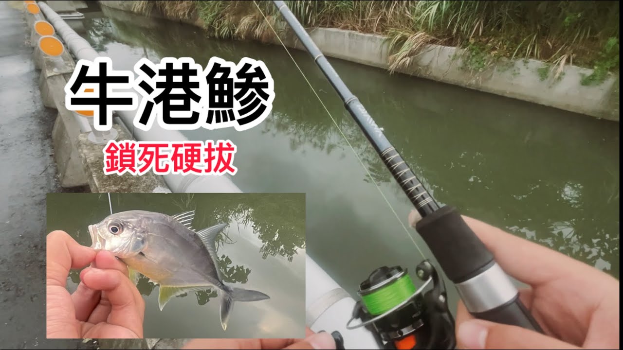 嘿👋🏼……….釣牛港鯵最好的方法應該是路亞啦！