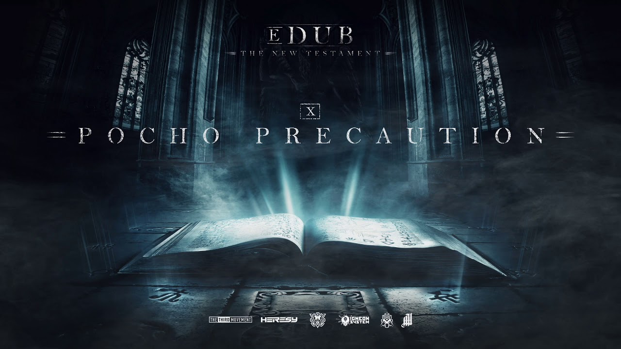 eDUB  - Pocho Precaution