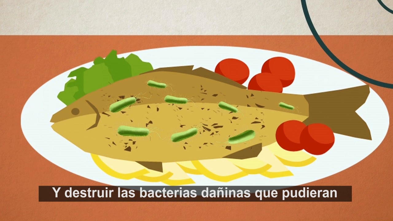 Ciencias nucleares en la irradiación de alimentos