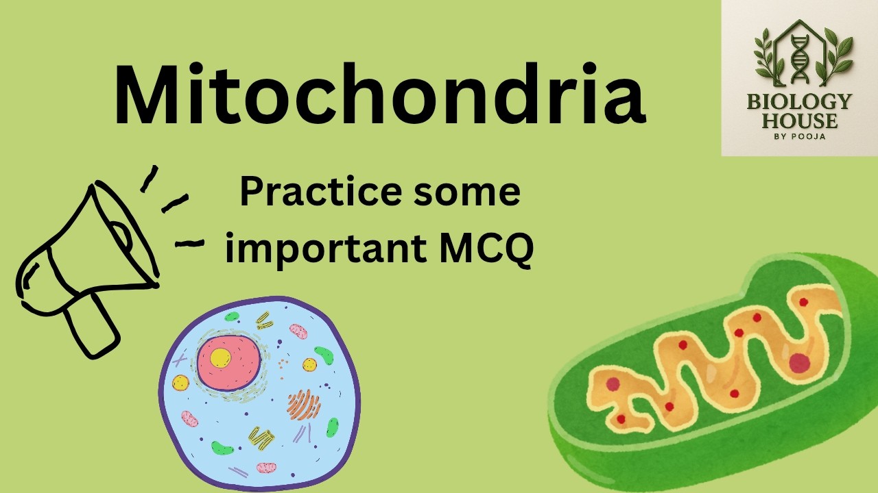 Mitochondria: A Game-Changing MCQ for ll all competitive exams II