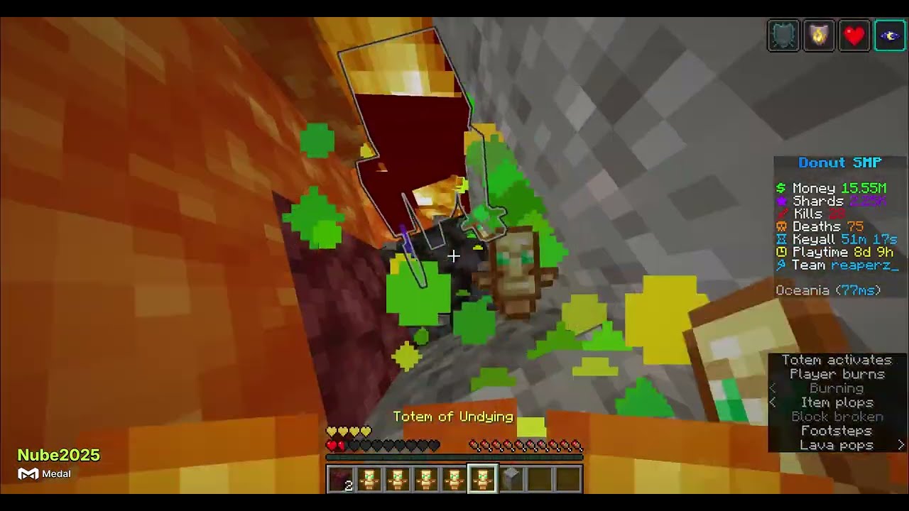 The first reset chunk on donut smp!