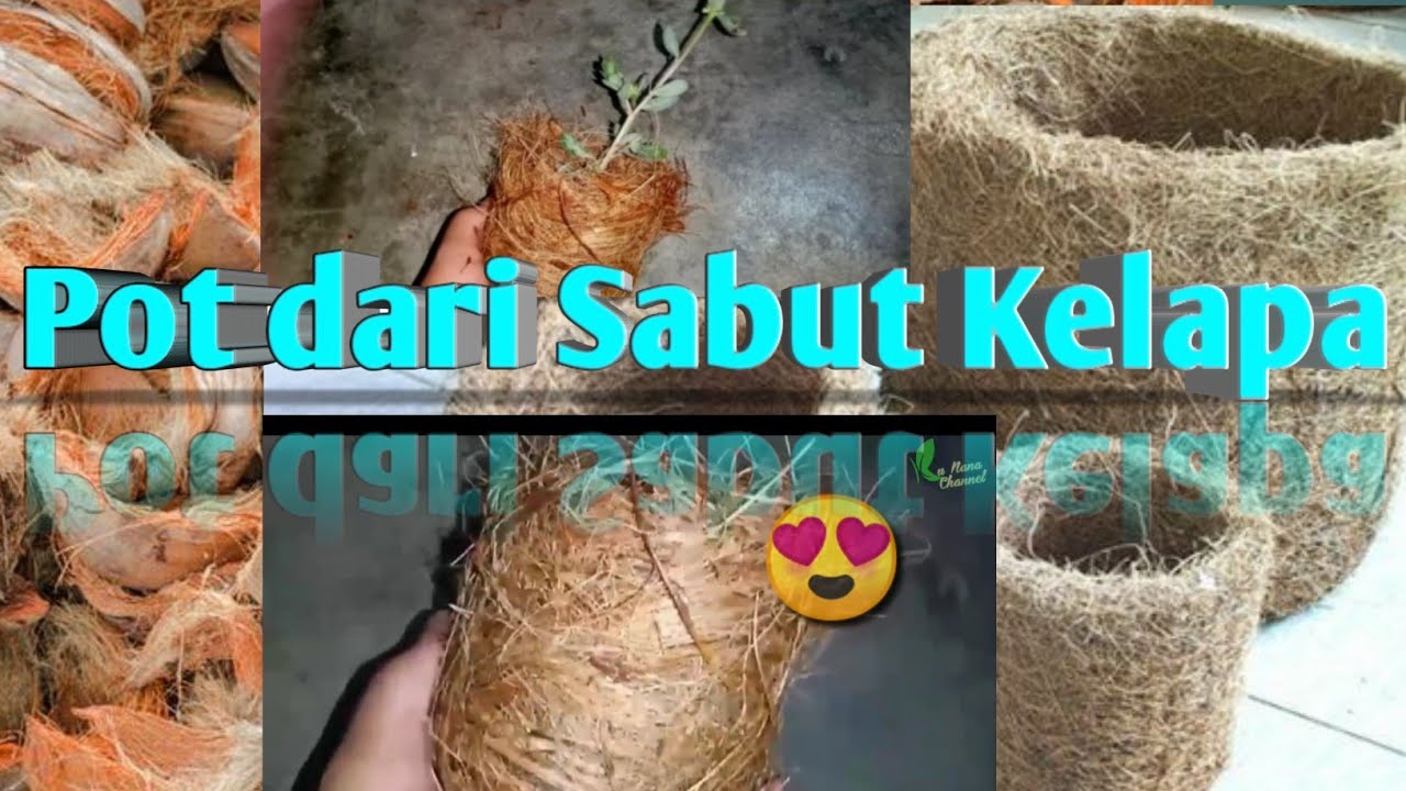 Cara Membuat Pot dari Sabut Kelapa || Praktek Kerajinan Bahan Serat kelas 7 Semester 1