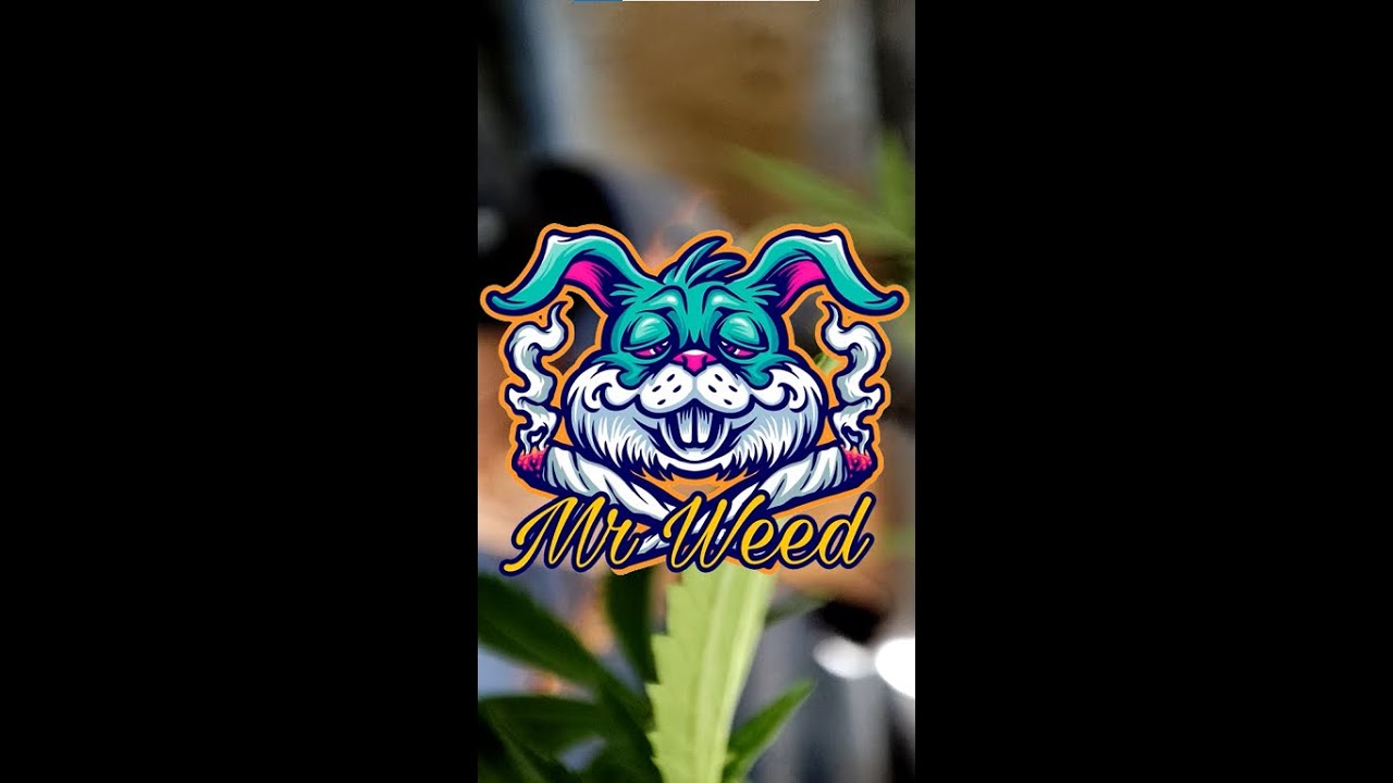 &iquest;Conoc&iacute;as la poda de bajos? S&iacute;guenos en Instagram! #viral #parati #foryou #chile #weed #cultivo