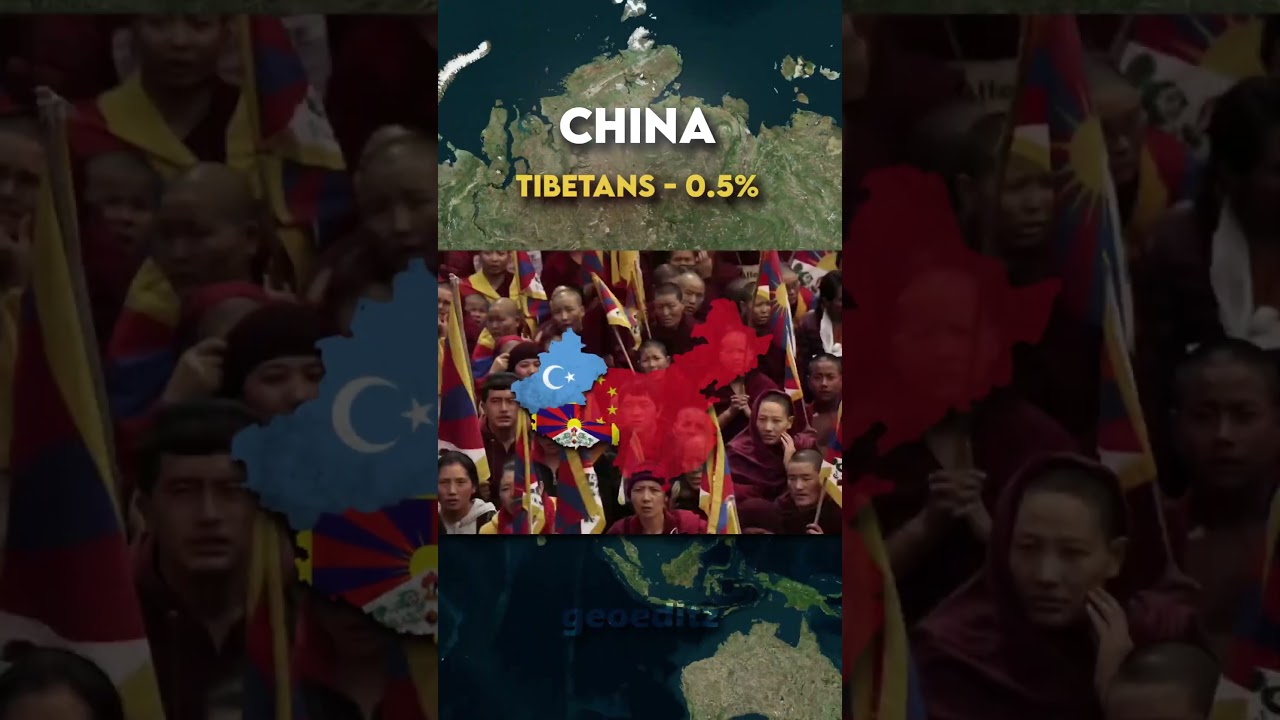 Countries And Their Minorities 👥 #shorts #history