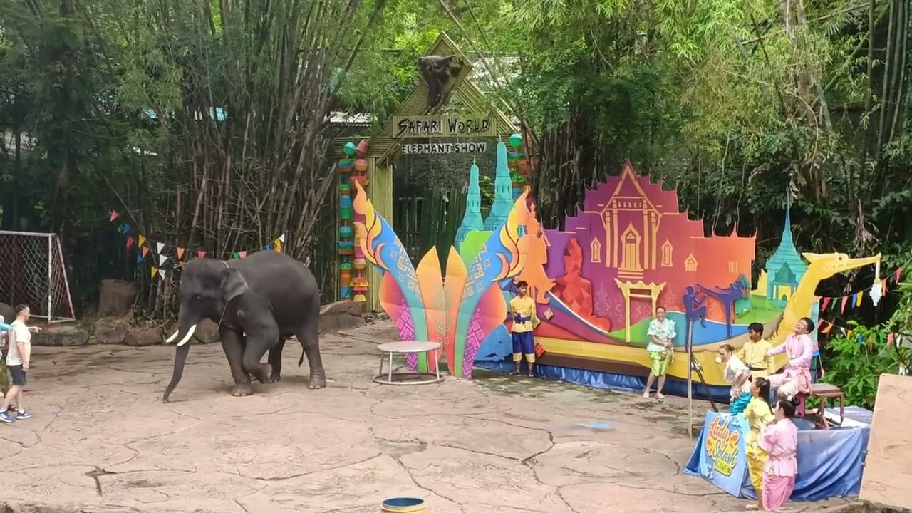 Thai Dacne | Comedy |